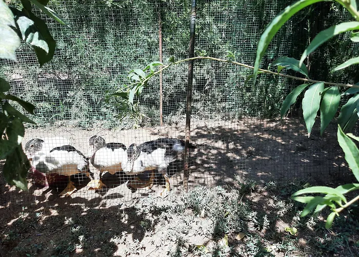 Apart-hotel Everest Oludeniz