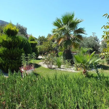 Everest Aparthotel Ölüdeniz