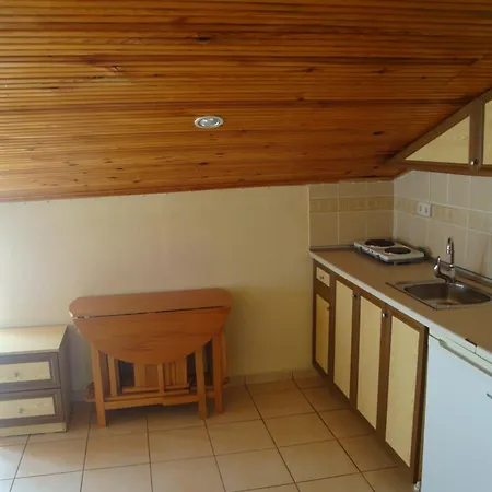 Everest Apart Otel 4*