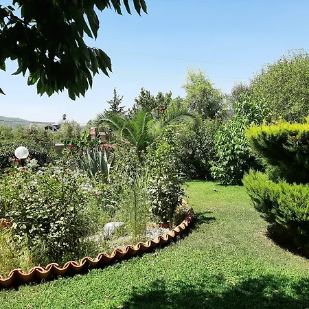 Everest Aparthotel Ölüdeniz